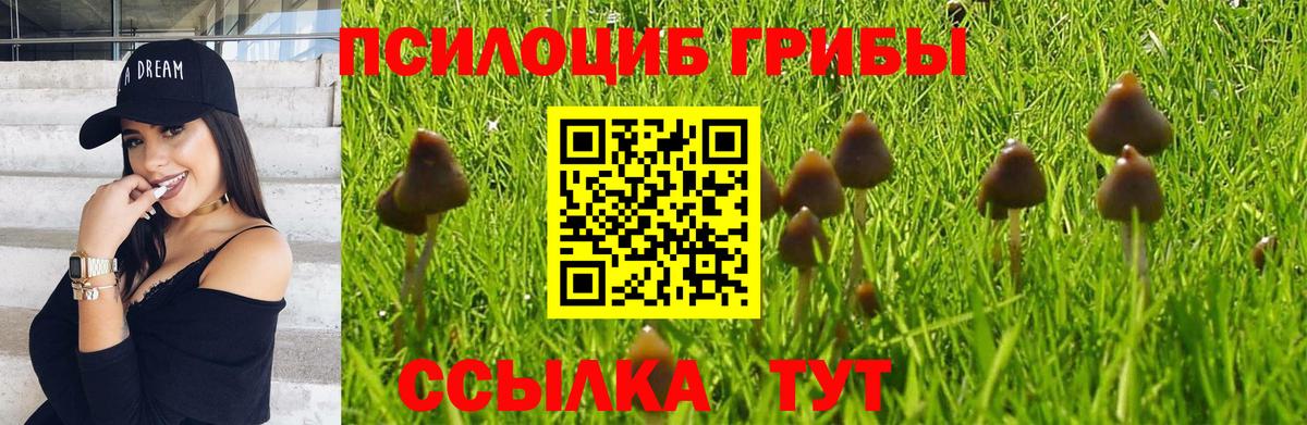 Саяногорск  Галлюциногенные грибы прущие грибы  Вход с VPN 